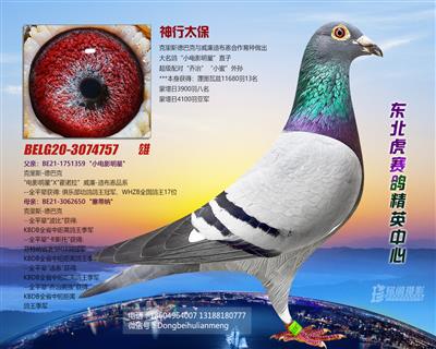 ����̫��