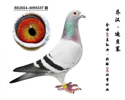 ���ҡ�240������Ů