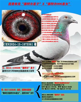 ���ǲ��ˡ����ؠ���ֱ��X(ju��)��006ֱŮ��