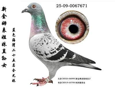 ���½�ķ�����á�ֱ��Ů