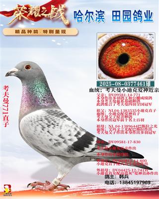 ������771ֱ��