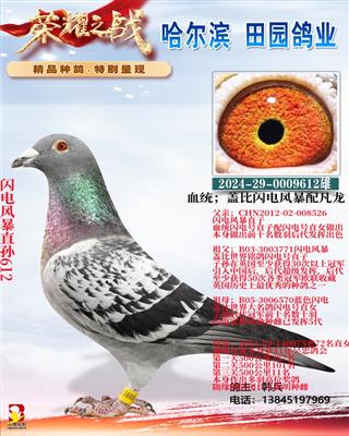 ����籩ֱ��612