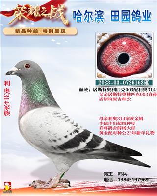 �����ֹ�163