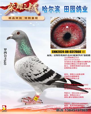 ��������660