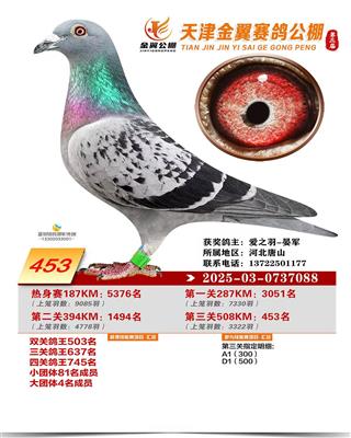 2025������������ɼ���