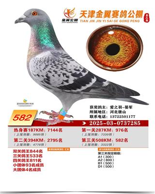 2025������������ɼ���