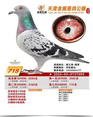 2025������������ɼ���