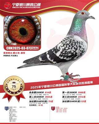 2025��������������ɼ���