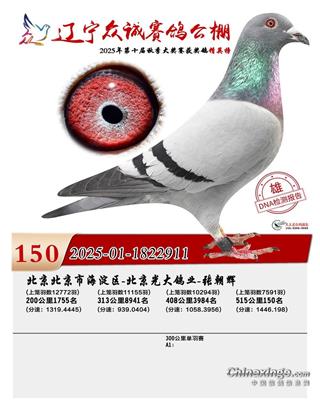 25���|�����\����Qِ150��