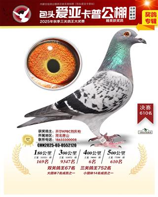 25������^�ہ����՛Qِ610��