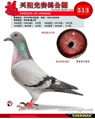 25�����|�����dꖹ�Qِ513��