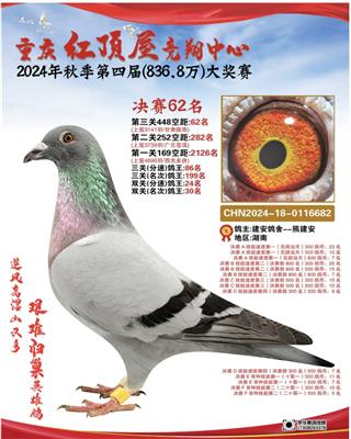 �ؑc�t��ݛQِ62��