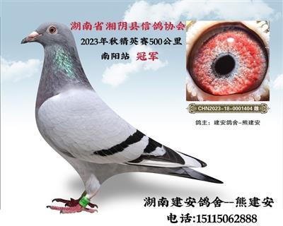 ��ꎿh�����f(xi��)��2023�꾫Ӣِ��܊