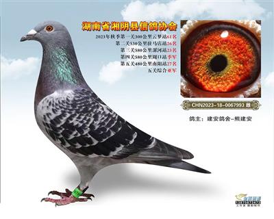 ��ꎿh�����f(xi��)��2023�����P(gu��n)�C�ρ�܊