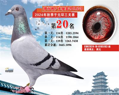 �������Ǿ㘷��ǧԪ�h(hu��n)20��