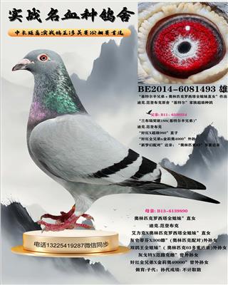 ���ǲ���