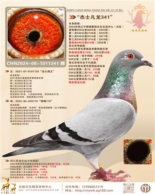 ����ʿ����ֱŮ�������Ŷ�500����414