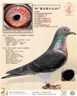 ��ī���ʿ307��500����14��