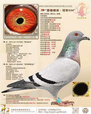 ��������Ӣ���ھ�334��˫���ۺ��Ǿ� ��