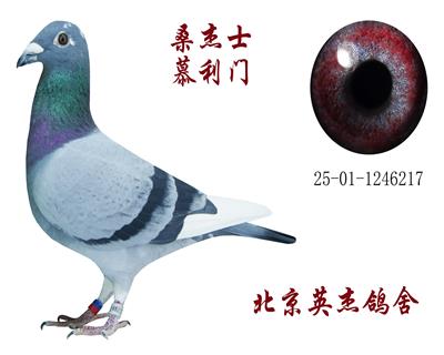 ɣ��ʿ��Ľ���T(m��n)