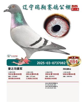 2025���������蹫��ɼ���