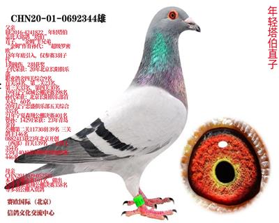 ��������ֱ��