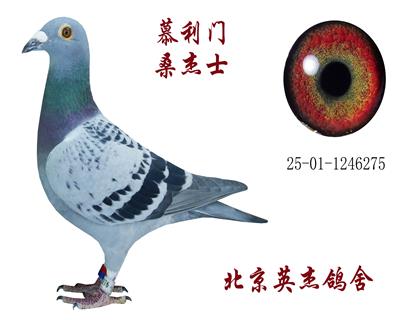 Ľ���T(m��n) ɣ��ʿ