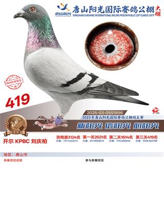 25������ɽꖹ����Qِ419��