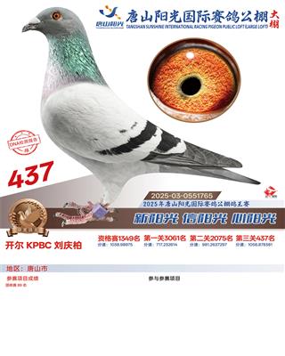 25������ɽꖹ����Qِ437��