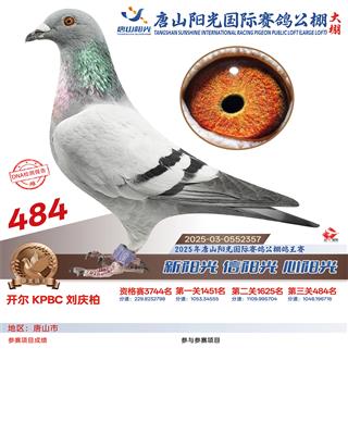 25������ɽꖹ����Qِ484��