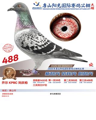 25������ɽꖹ����Qِ488��