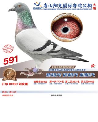 25������ɽꖹ����Qِ591��