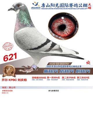 25������ɽꖹ����Qِ621��