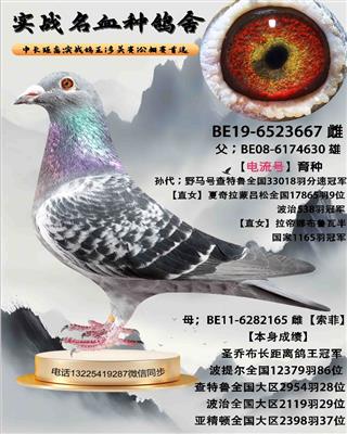 ������ֱŮ