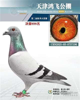 ����ɹ���ɼ���