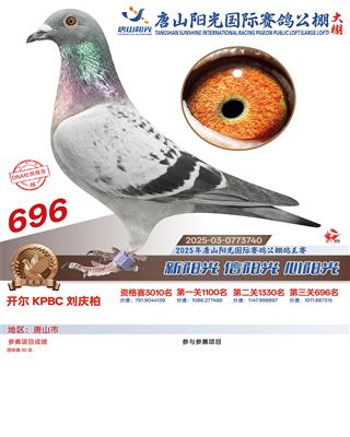 25������ɽꖹ����Qِ696��