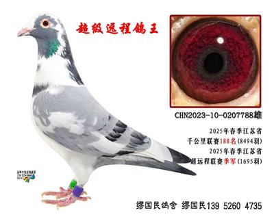 2025Kʡh(yun)(lin)ِ܊