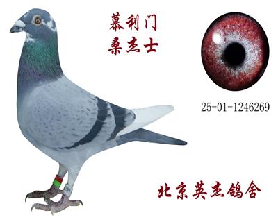 Ľ���T(m��n) ɣ��ʿ