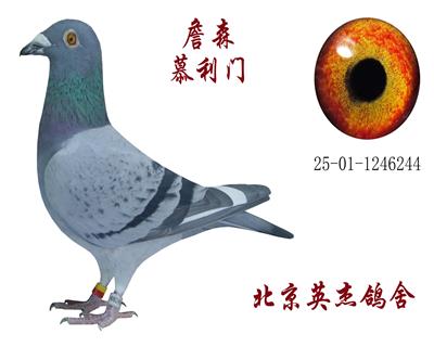 ղɭ Ľ���T(m��n)