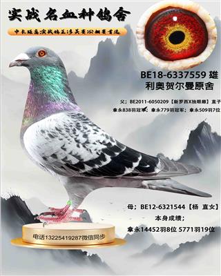 ������ֱ��