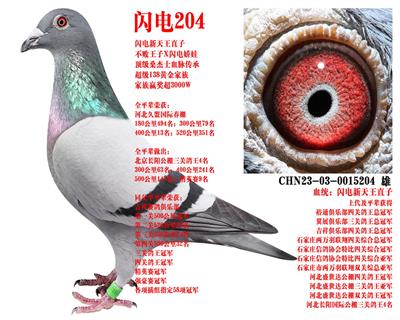 ɣ��ʿ ����204