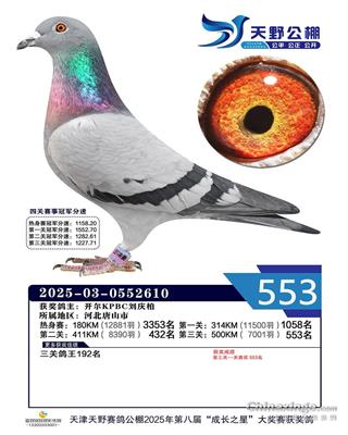 25���������Ұ�Qِ553��