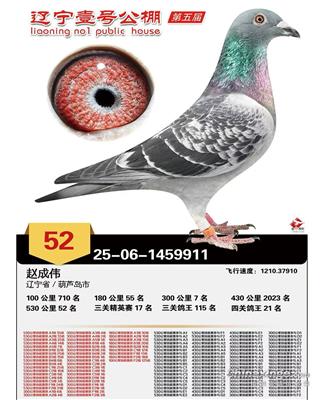 ����С��911