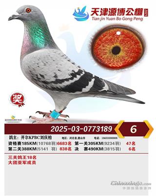 25�������Դ�����P(gu��n)����18�����Qِ6��