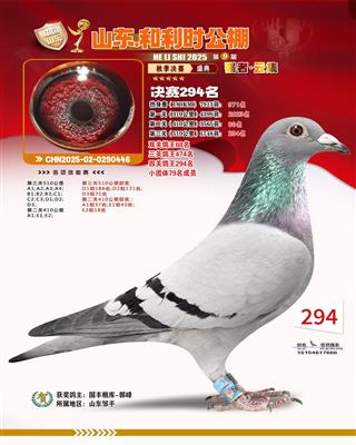 ����ʱ���빫�����294��