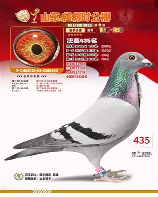 ����ʱ���빫�����435��