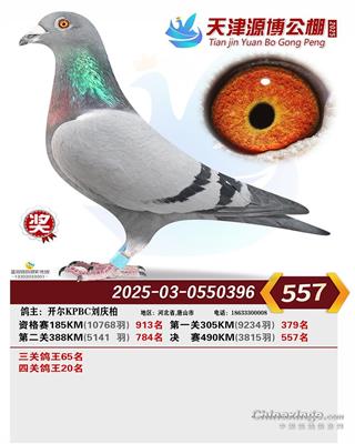 25����Դ�����P����20�����Qِ557��