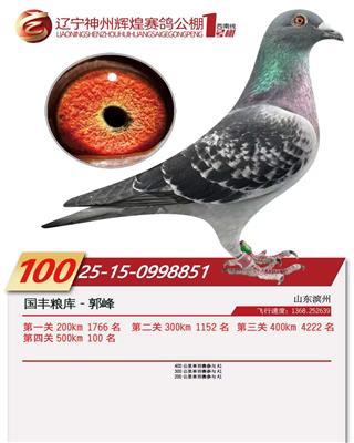 ���ݻԻ����빫�����100��