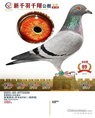 25����ҿ���ǧ��ǧ���վِ89��