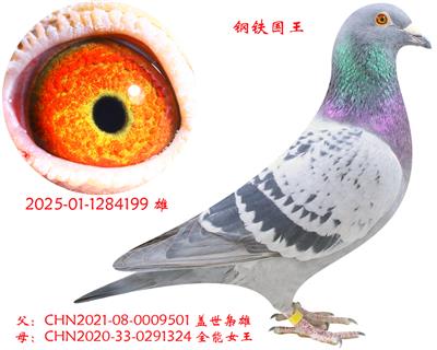 ȫ��Ů��ֱ��-��������